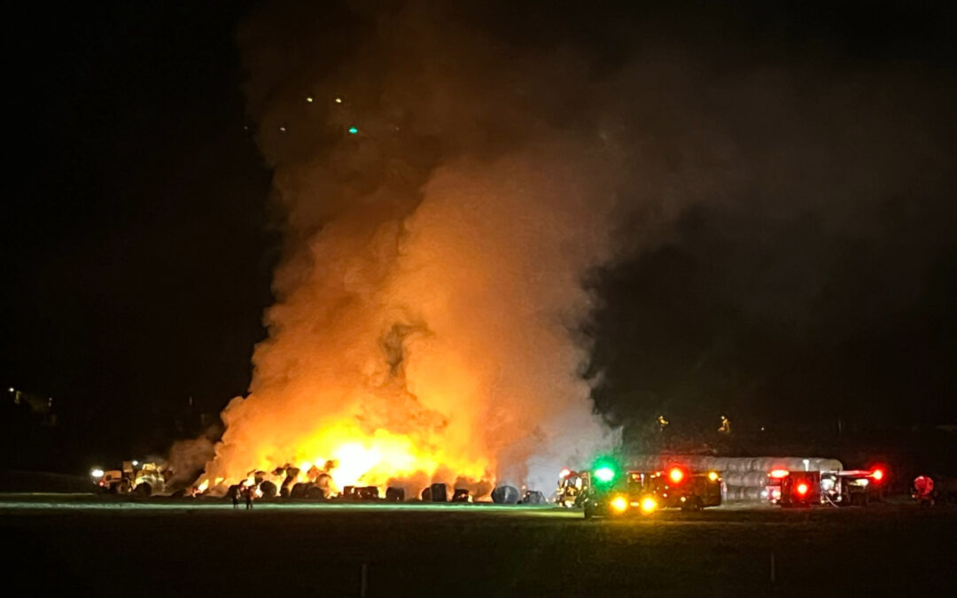 Incendio en San Diego consume cientos de pacas de heno cerca del Safari Park