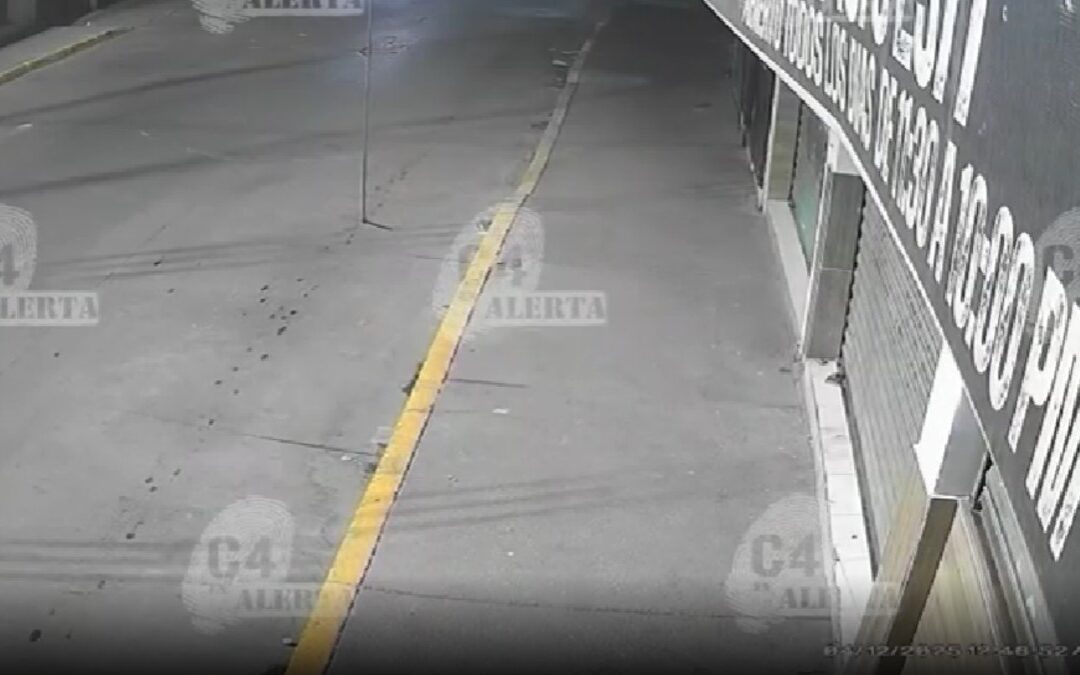 Actualizaciones de C4: Las 5 Noticias Más Importantes de Alerta en Tampa Bay – 5 de Diciembre de 2025