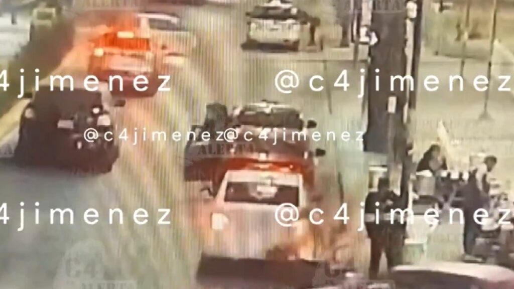 C4 En Alerta: Las 5 Noticias Clave en Tampa Bay del 3 de Diciembre de 2025