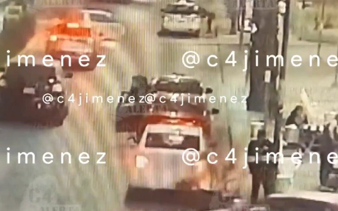 C4 En Alerta: Las 5 Noticias Clave en Tampa Bay del 3 de Diciembre de 2025