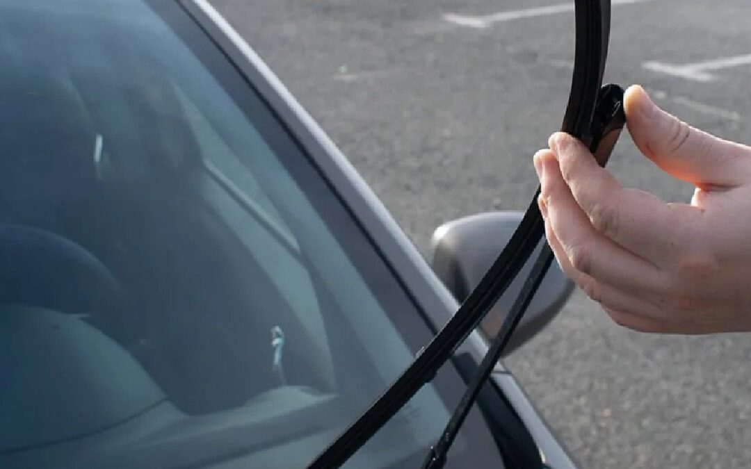 Limpiaparabrisas Agresivo Ataca a Hombre en Tampa Bay por Negarse a Darle Dinero