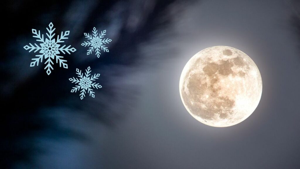 Superluna Fría: Cómo y a qué hora observar la luna llena en Tampa este 4 de diciembre de 2025