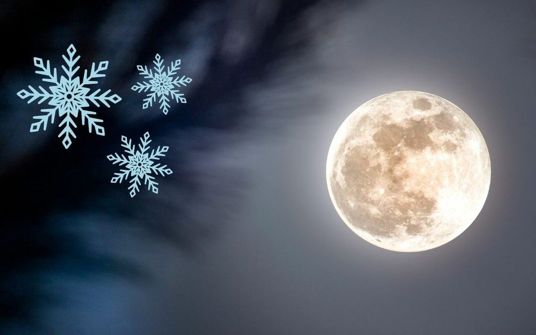 Superluna Fría: Cómo y a qué hora observar la luna llena en Tampa este 4 de diciembre de 2025