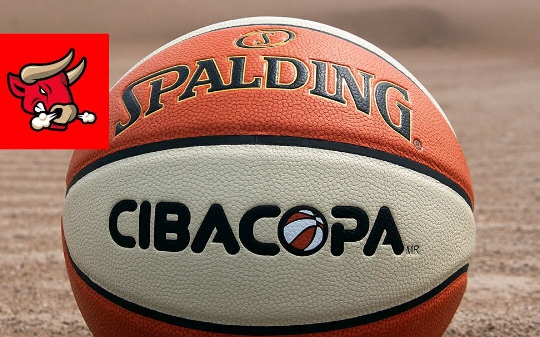 Partido Inaugural de Toros Laguna: Venados de Mazatlán Llegan a Tampa Bay